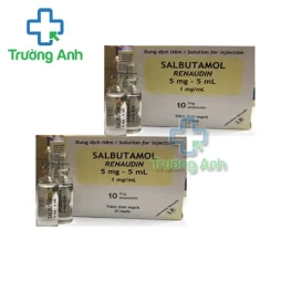 Salbutamol Renaudin 5mg/5ml - Thuốc điều trị hen suyễn